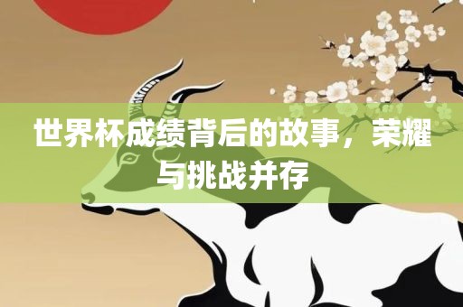 世界杯成绩背后的故事，荣耀与挑战并存