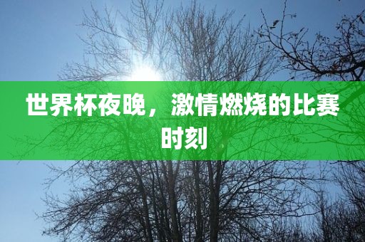 世界杯夜晚，激情燃烧的比赛时刻眉山市正发家政服务有限公司