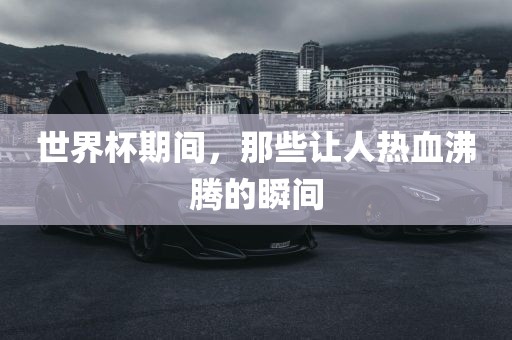 世界杯期间，那些让人热血沸腾的瞬间眉山市正发家政服务有限公司