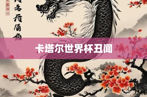 卡塔眉山市正发家政服务有限公司尔世界杯丑闻