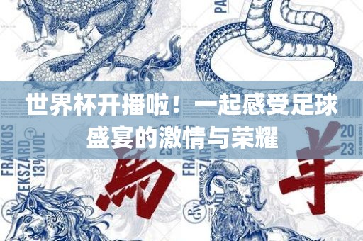 世界杯开播啦！一起感受足球盛宴的激情与荣耀眉山市正发家政服务有限公司