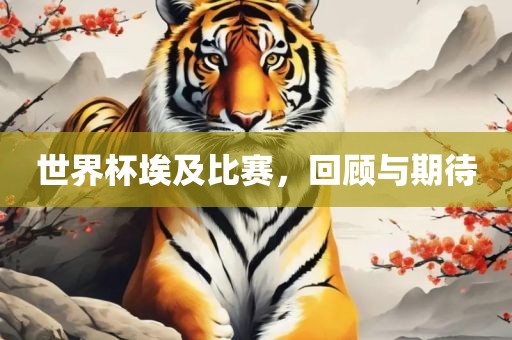 世界杯埃及比赛，回顾与期待