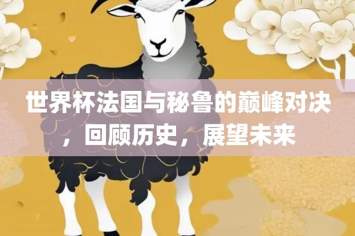 世界杯法国与秘鲁的巅峰对决，回顾历史，展望未来