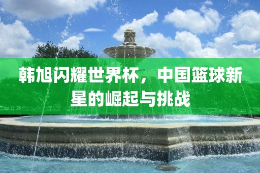 韩旭闪耀世界杯，中国篮球新星的崛起与挑战眉山市正发家政服务有限公司