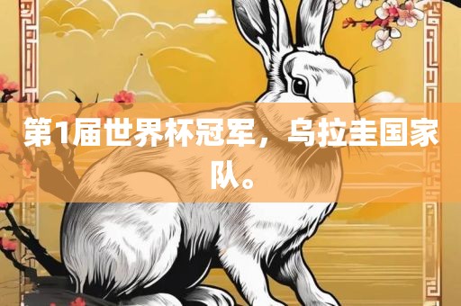 第1届世界杯冠军，乌拉圭国家队。