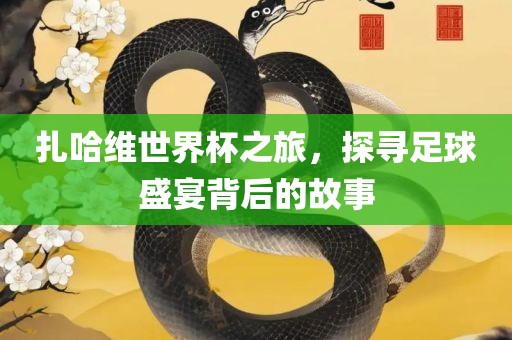 扎哈维世界杯之旅，探寻足球盛宴背后的故事眉山市正发家政服务有限公司