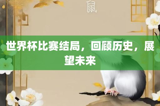 世界杯比赛结局，回顾历史，展望未来