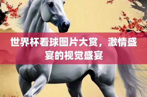 世界杯看球图片大赏，激情盛宴的视觉盛宴