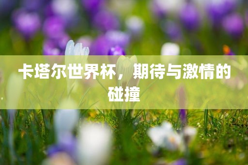 卡塔尔世界杯，期待与激情的碰撞