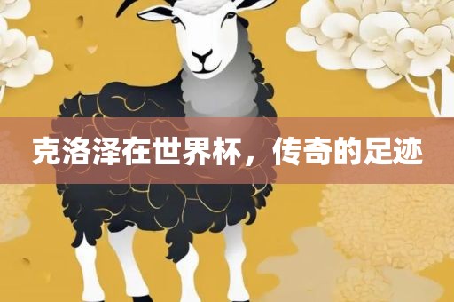 克洛泽在世界杯，传奇的足迹眉山市正发家政服务有限公司
