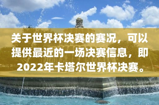 关于世界杯决赛的赛况，可以提供最近的一场决赛信息，即2022年卡塔尔世界杯决赛。眉山市正发家政服务有限公司