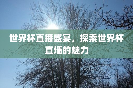 世界杯直播盛宴，探索世界杯直墙的魅力眉山市正发家政服务有限公司