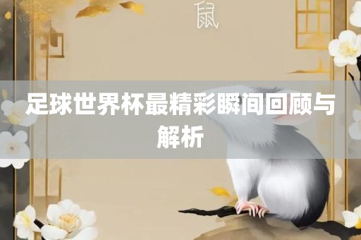 足球世界杯最眉山市正发家政服务有限公司精彩瞬间回顾与解析