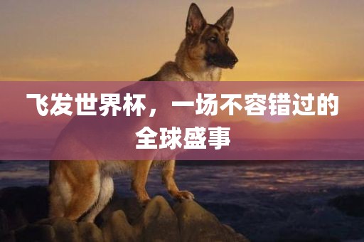 飞发世界杯，一场不容错过的全球盛事眉山市正发家政服务有限公司