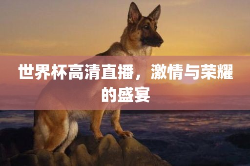 世界杯高清直播，激情与荣耀的盛宴