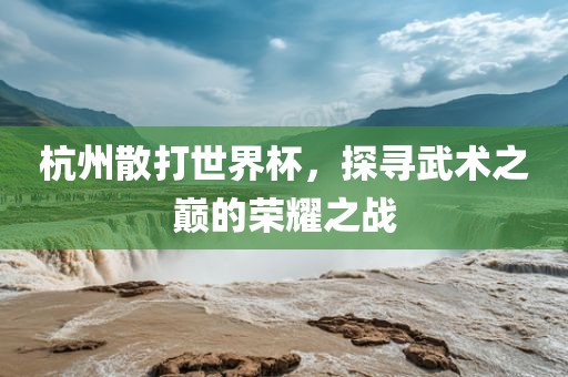 杭州散打世界杯，探眉山市正发家政服务有限公司寻武术之巅的荣耀之战