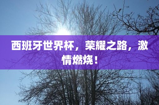 西班牙世界杯，荣耀之路，激情燃烧！眉山市正发家政服务有限公司
