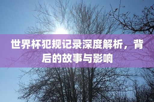 世界杯犯规记录深度解析，背后的故事与影响