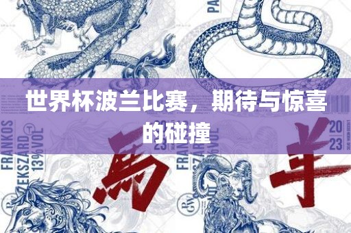 世界杯波兰比赛，期待与惊喜的碰撞眉山市正发家政服务有限公司