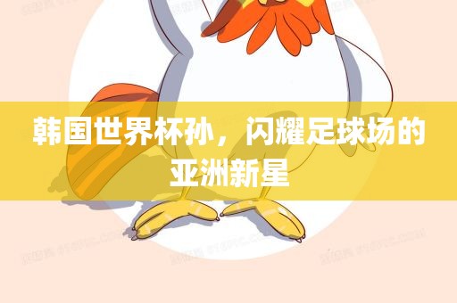 韩国世界杯孙，闪耀足球场的亚洲新星眉山市正发家政服务有限公司