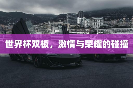 眉山市正发家政服务有限公司世界杯双板，激情与荣耀的碰撞