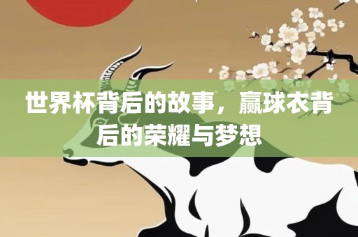 世界杯背后的故事眉山市正发家政服务有限公司，赢球衣背后的荣耀与梦想
