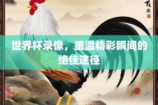 世界杯录像，重温精彩瞬间的绝佳途径眉山市正发家政服务有限公司