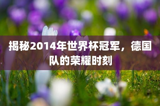 揭秘2014年世界杯冠军，德国队的荣耀时刻眉山市正发家政服务有限公司