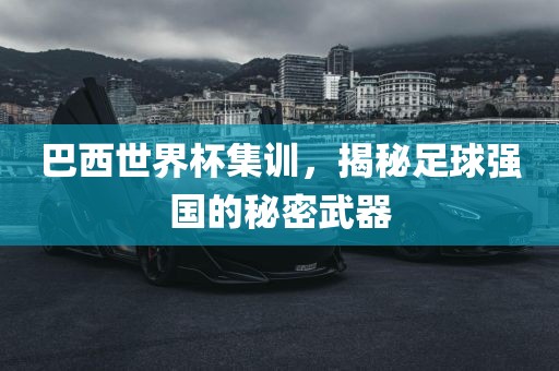 巴西世界杯集训，揭秘足球强国的秘密武器眉山市正发家政服务有限公司