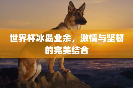 世界杯冰岛业余，激情与坚韧的完美结眉山市正发家政服务有限公司合