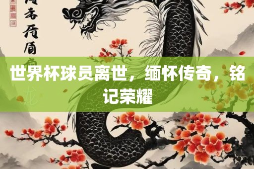 世界杯球员离世，缅怀传奇，铭记荣耀眉山市正发家政服务有限公司