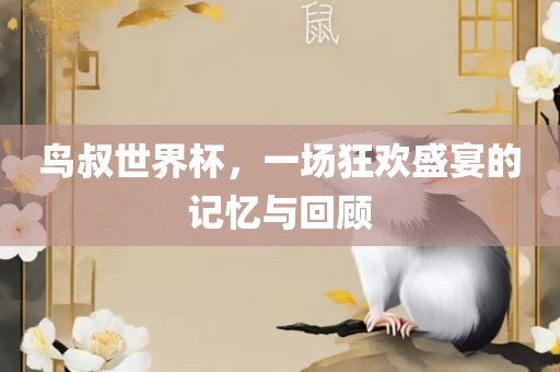鸟叔世界杯，一场眉山市正发家政服务有限公司狂欢盛宴的记忆与回顾