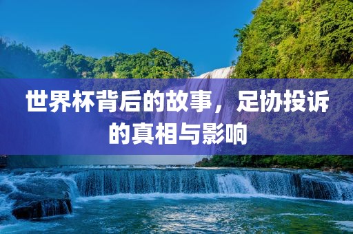 世界杯背后的故事，足协投诉的真相与影响眉山市正发家政服务有限公司