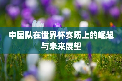中国队在世界杯赛场上的崛起与未来展望眉山市正发家政服务有限公司