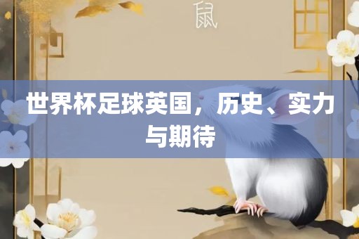 世界杯足球英国，历史、实力与期待