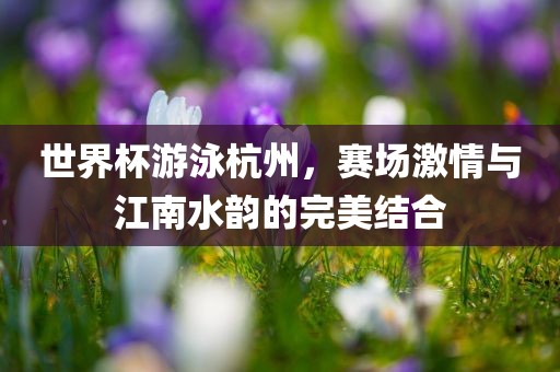 世界杯游泳杭州，赛场激情眉山市正发家政服务有限公司与江南水韵的完美结合