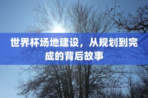 世界杯场地建设，从规划到完成的背后故事