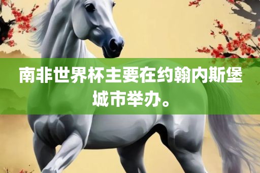 南非世界杯主要在约翰内斯堡城市举办。