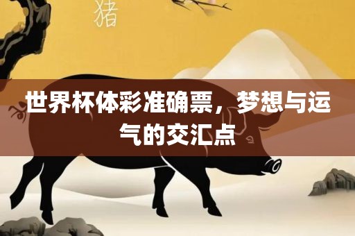 世界杯体彩准确票，梦想与运气的交汇点眉山市正发家政服务有限公司