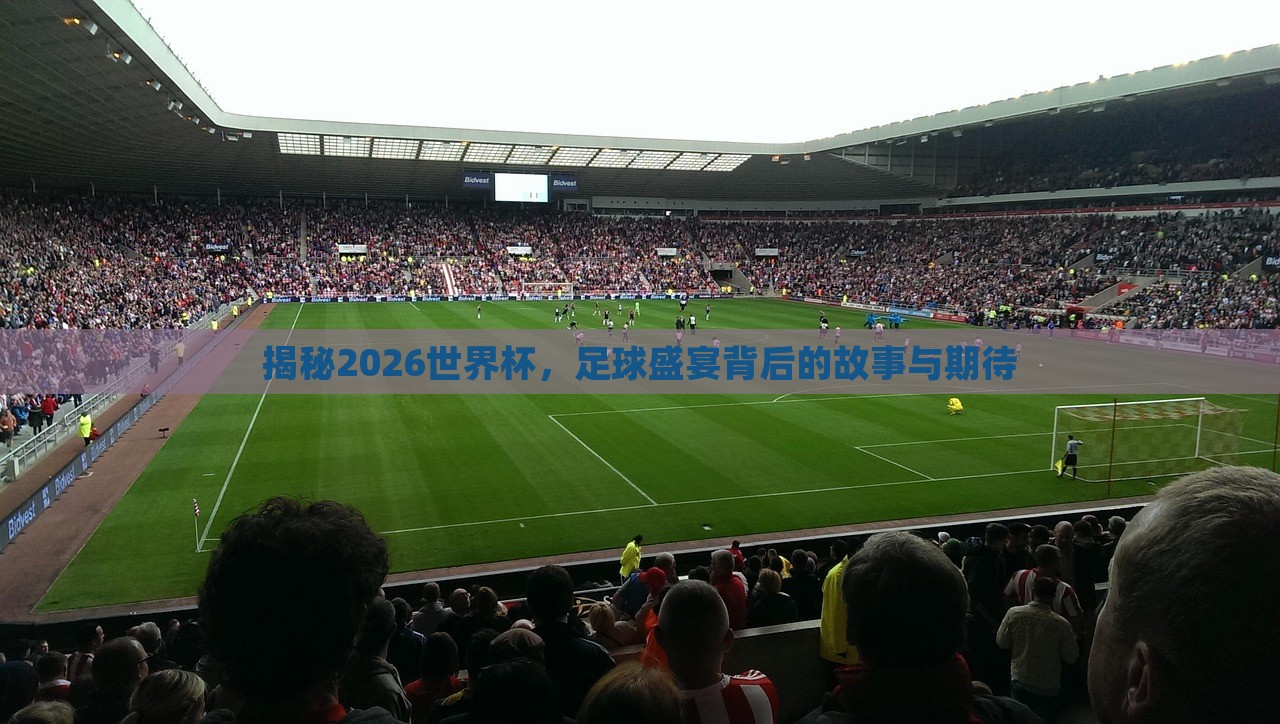 揭秘2026世界杯，足球盛宴背后的故事与期待眉山市正发家政服务有限公司